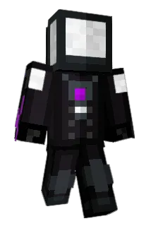 Stupidcatdog Minecraft avatar full body