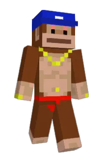 Stupidorange205 Minecraft avatar full body