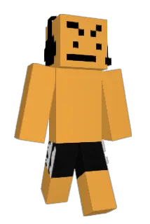 Stupidtrip Minecraft avatar full body