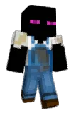Stupidwins Minecraft avatar full body
