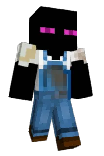 Stupidwins Minecraft avatar full body