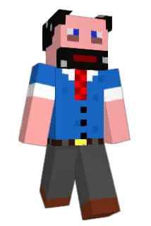 Sturdy_Turtle Minecraft avatar full body