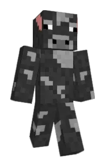Stw0 Minecraft avatar full body