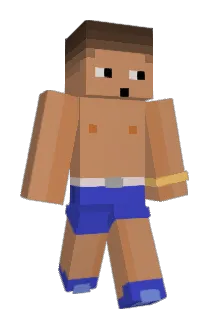 Suavecitos Minecraft avatar full body