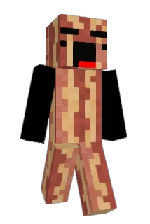 Sub_Zero371 Minecraft avatar full body