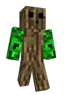 Submarin1 Minecraft avatar full body