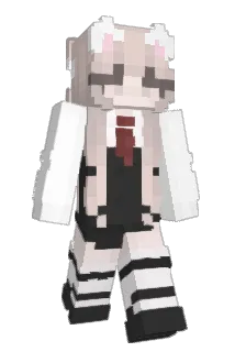 Succ_ Minecraft avatar full body