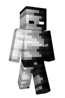 Successee Minecraft avatar full body