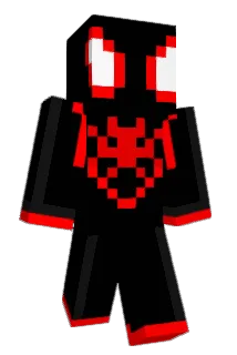 Sucundeez Minecraft avatar full body
