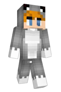 Sudsiiii Minecraft avatar full body