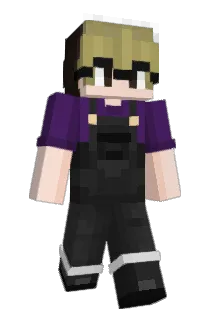 Suitcase__ Minecraft avatar full body