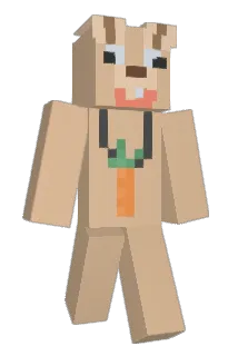Sukwoon Minecraft avatar full body
