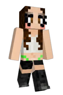 Sullifans Minecraft avatar full body