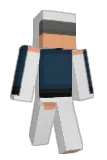 Sulyndar Minecraft avatar full body