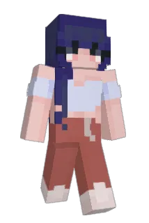 SunTea2711 Minecraft avatar full body