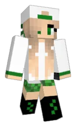 Custom render preview