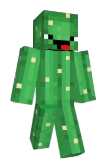 Sunhachi Minecraft avatar full body