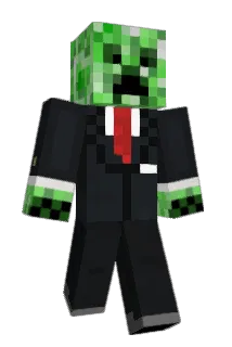 Sunnbunn1 Minecraft avatar full body
