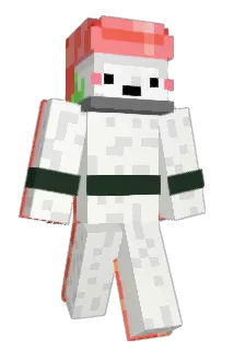 Sunshine1122 Minecraft avatar full body