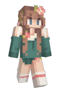 Sunshinedig Minecraft avatar full body