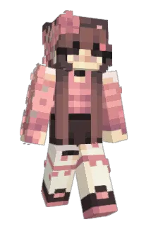 Sunsoups Minecraft avatar full body