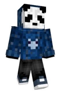 Suomiany Minecraft avatar full body
