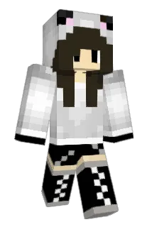 SuperSonicSamich Minecraft avatar full body