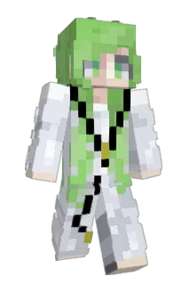 Superlifical Minecraft avatar full body
