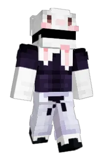 Superrowen Minecraft avatar full body