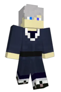 Supertonic Minecraft avatar full body