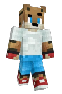 Surii4 Minecraft avatar full body