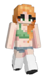 Custom render preview