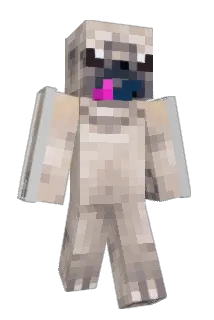 SushiReynolds Minecraft avatar full body