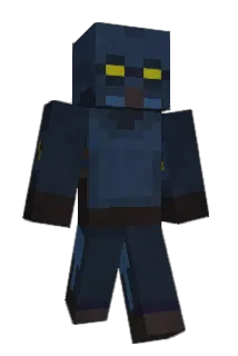 Sushicore Minecraft avatar full body