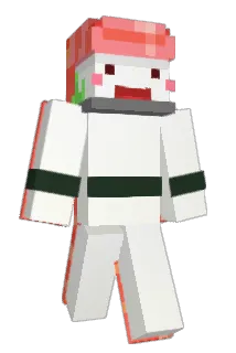 Sushijak Minecraft avatar full body