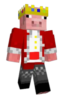 Suzy_FTW_ Minecraft avatar full body