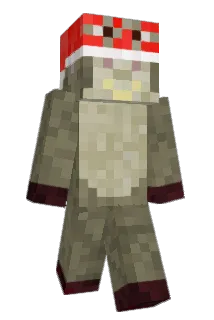 Suzzane Minecraft avatar full body