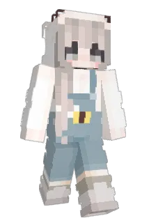 Sveiki Minecraft avatar full body