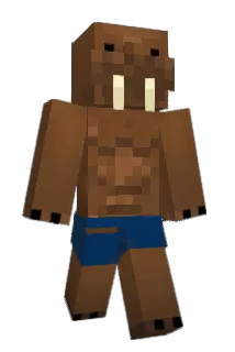 Svorkar Minecraft avatar full body
