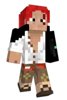 Svote Minecraft avatar full body