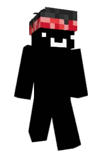Sw3b_ Minecraft avatar full body