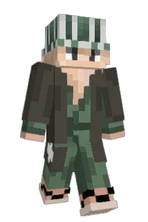SwNiro Minecraft avatar full body