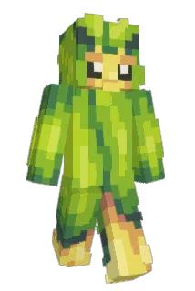 Swadloon Minecraft avatar full body