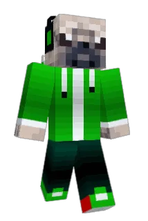 SwaggyPug2 Minecraft avatar full body