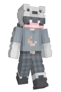 Swaked Minecraft avatar full body