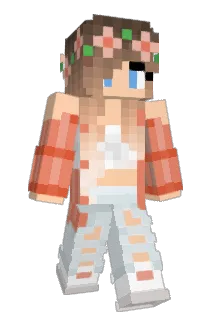 Swall20 Minecraft avatar full body