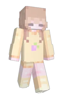 SwampenMan Minecraft avatar full body