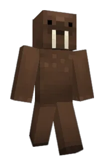 SwanSoup Minecraft avatar full body