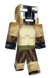 Swandos Minecraft avatar full body