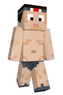 SwapDash Minecraft avatar full body